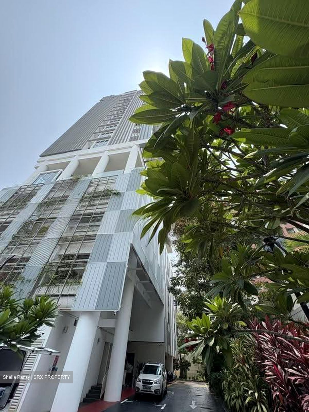 Haig 162 (D15), Apartment #628378341